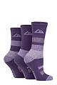 Women's 3 Pair Storm Bloc Cotton Striped Boot Socks - Charcoal / Purple