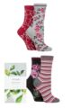 Ladies 4 Pair Thought Orsella Floral Organic Cotton Gift Boxed Socks - Assorted