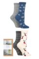 Ladies 4 Pair Thought Nessie Christmas Organic Cotton Gift Boxed Socks - Assorted