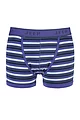 Mens 1 Pair Jeep Spirit Cotton Stripe Trunks - Navy