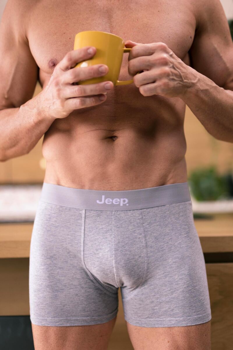 Mens 2 Pack Jeep Cotton Plain Fitted Hipster Trunks