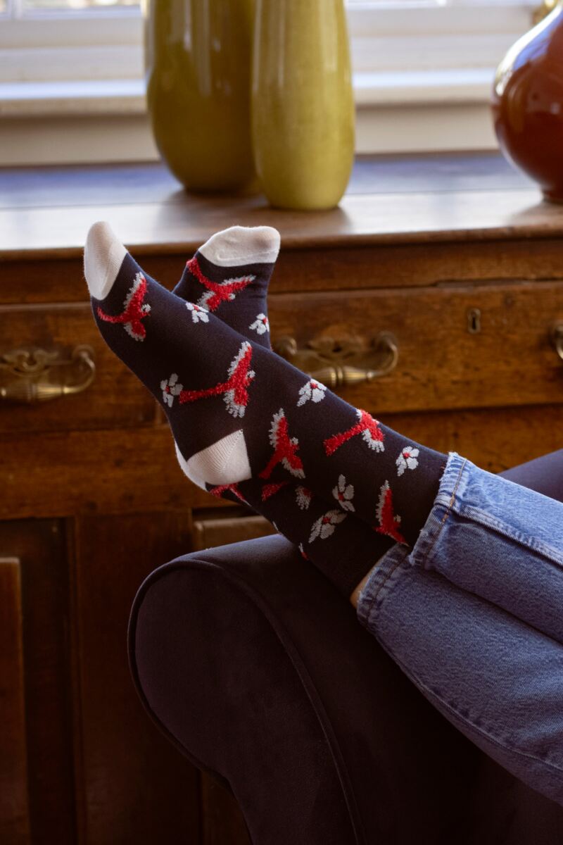 Ladies 3 Pair SOCKSHOP Bamboo Feather Socks
