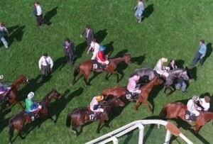 Bare-legs 'banned at Ascot'