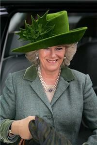 Camilla needs 'modern-day makeover'