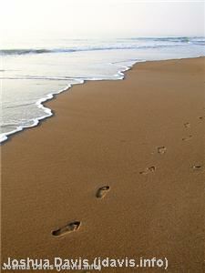 Socks in the sand spark police mystery