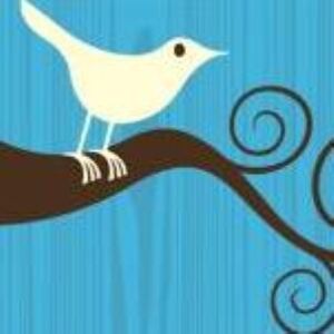 Twitter tights show 'strange style'