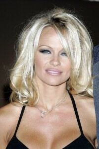 Pamela Anderson launches hosiery line
