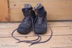 Hiking socks 'spread plant seeds'