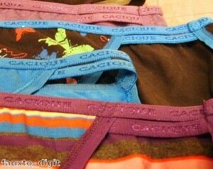 Woman breaks underwear world record