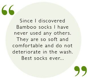 bamboo_review_11.jpg bamboo_review_11.jpg