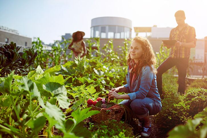 6 Ways to Celebrate Earth Day