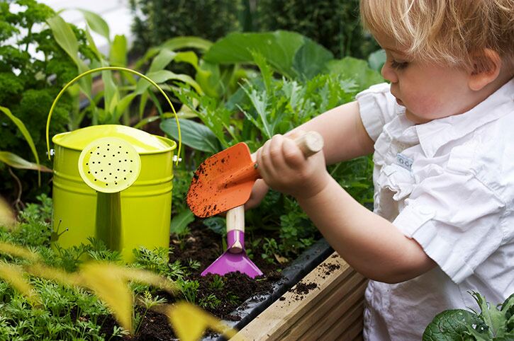 The easiest food to grow with the kids The easiest food to grow with the kids