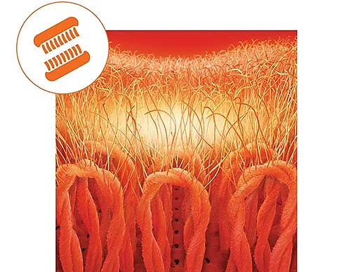 SOCKSHOP Heat Holders socks - the ultimate thermal sock