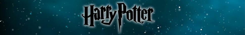 Harry Potter Socks