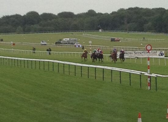 The SockShop Handicap Stakes at Haydock Park