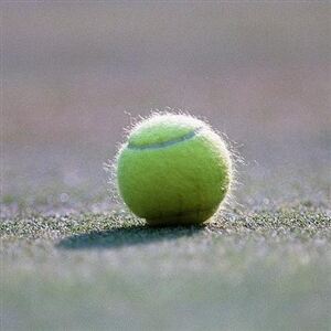 Knee-high sports socks causing a stir in the tennis world