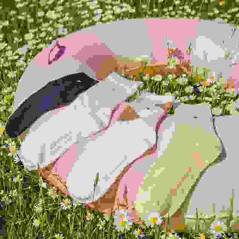 Burlington - Women's Socks >